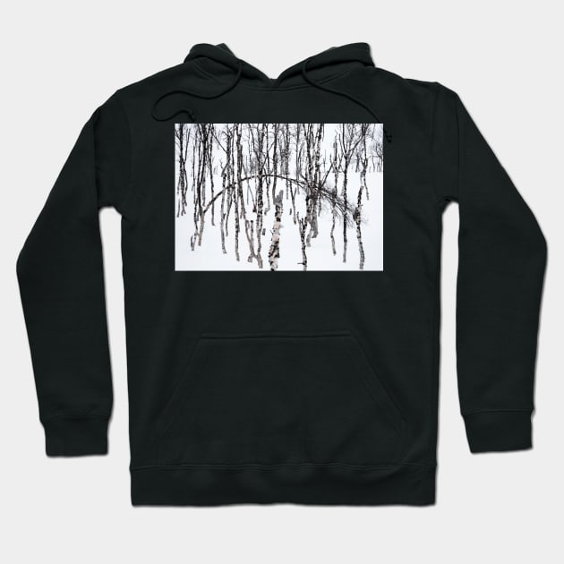 Norwegian wood Hoodie by geoffshoults